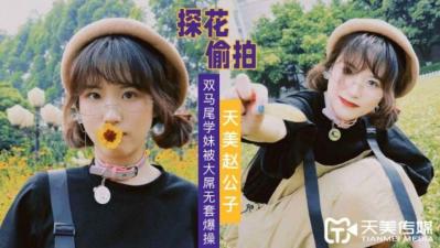 阿玛米公主正在寻找巨大繁荣的鲜花和女孩。