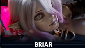 奇基皮科野玫瑰